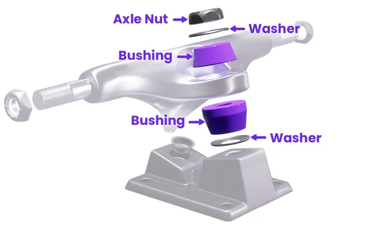 Skateboard and longboard truck bushing parts illustration