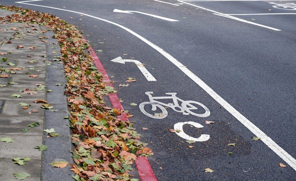 Wet bike lane with leaves