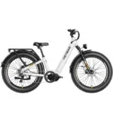 Heybike Alpha ST