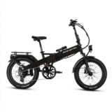 Lectric XP4 750 SO