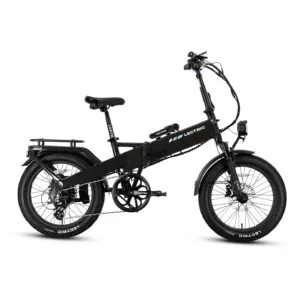 Lectric XP4 750 SO