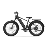 NIU BQi Fat Tire 300 SO