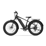 NIU BQi Fat Tire 300 SO