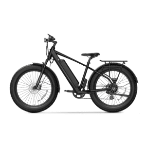 NIU BQi Fat Tire 300 SO