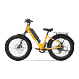 NIU BQi Fat Tire 300 ST