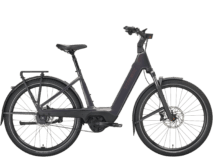 Trek Charter+ 5S Lowstep 2026